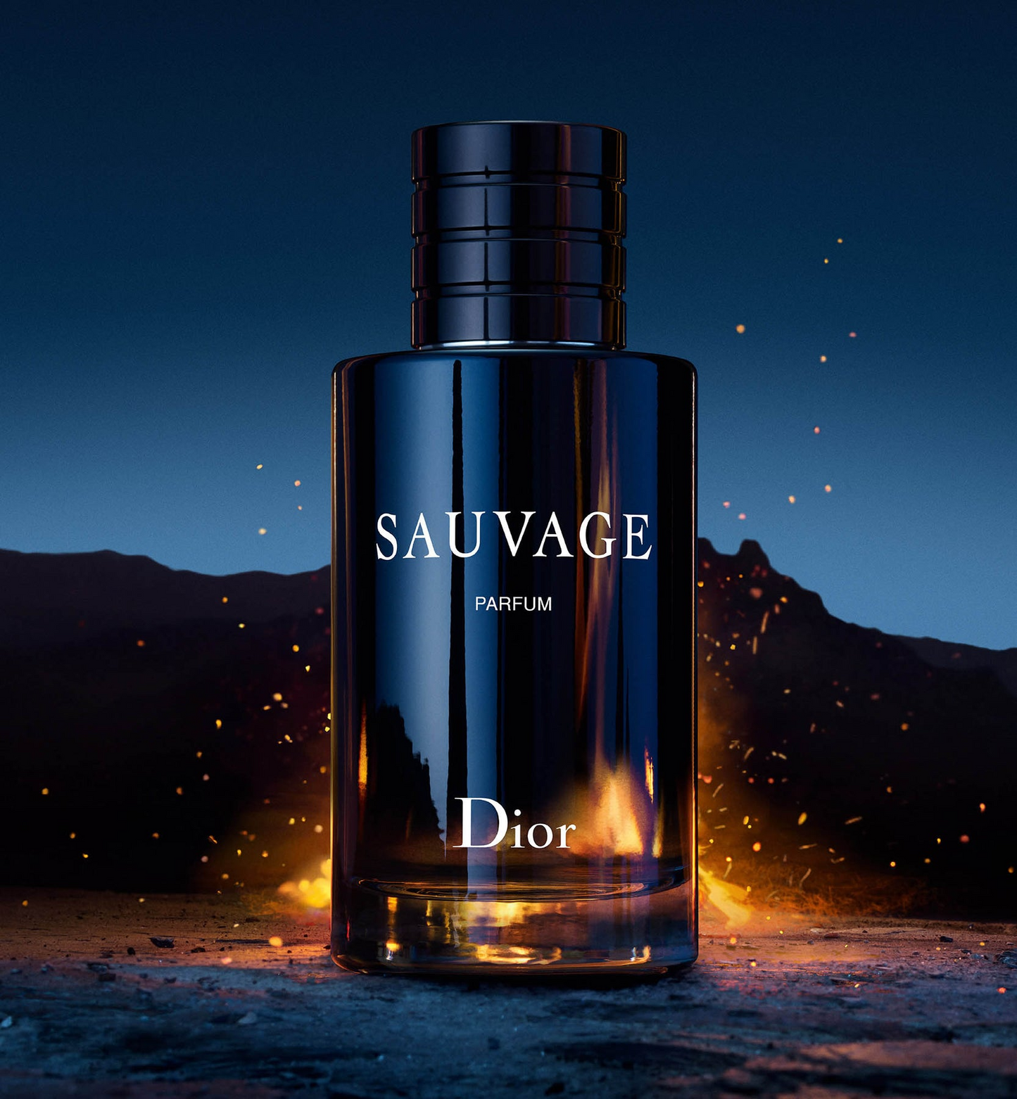 DIOR SAUVAGE PARFUM